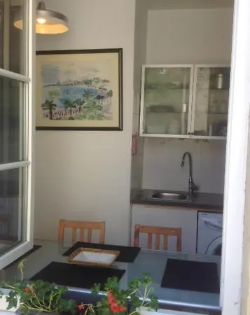 Apartment Flat Down Town