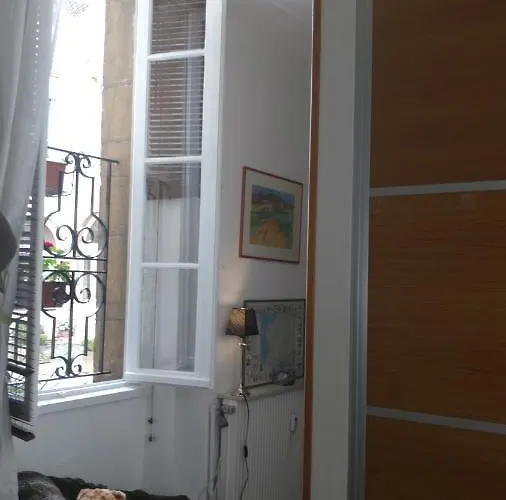 Apartment Flat Down Town